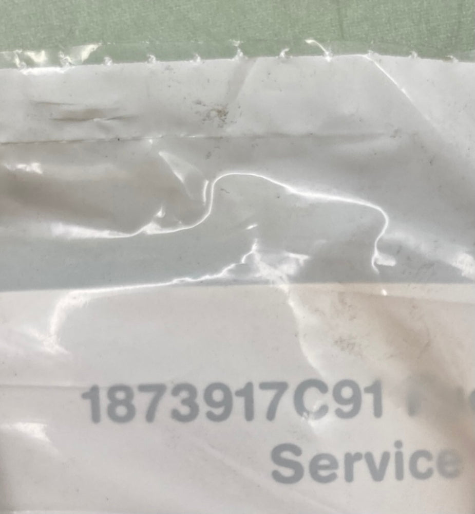 International 1873917C91 Fuel Filter Kit, New Genuine