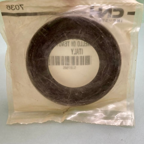 CNH Industrial 5107905 Seal New Genuine