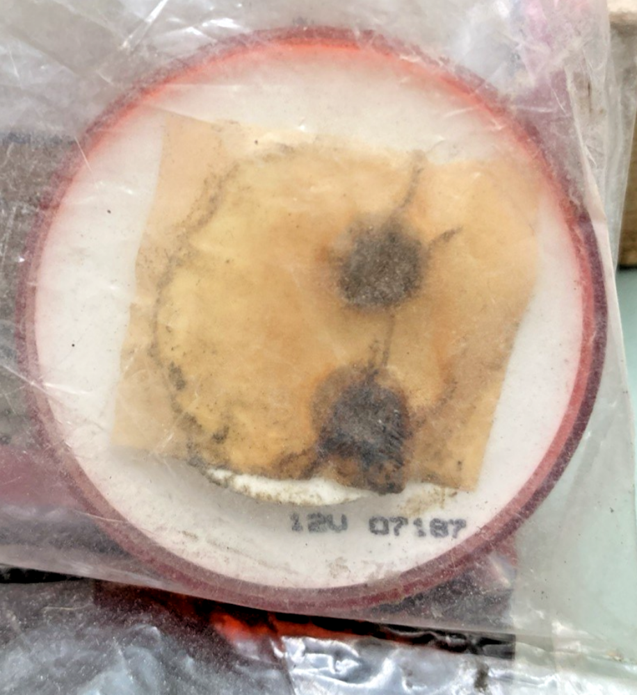 Qty 3 New Genuine Truck-Lite 30200R 30 Series, Incandescent, Red Round Light