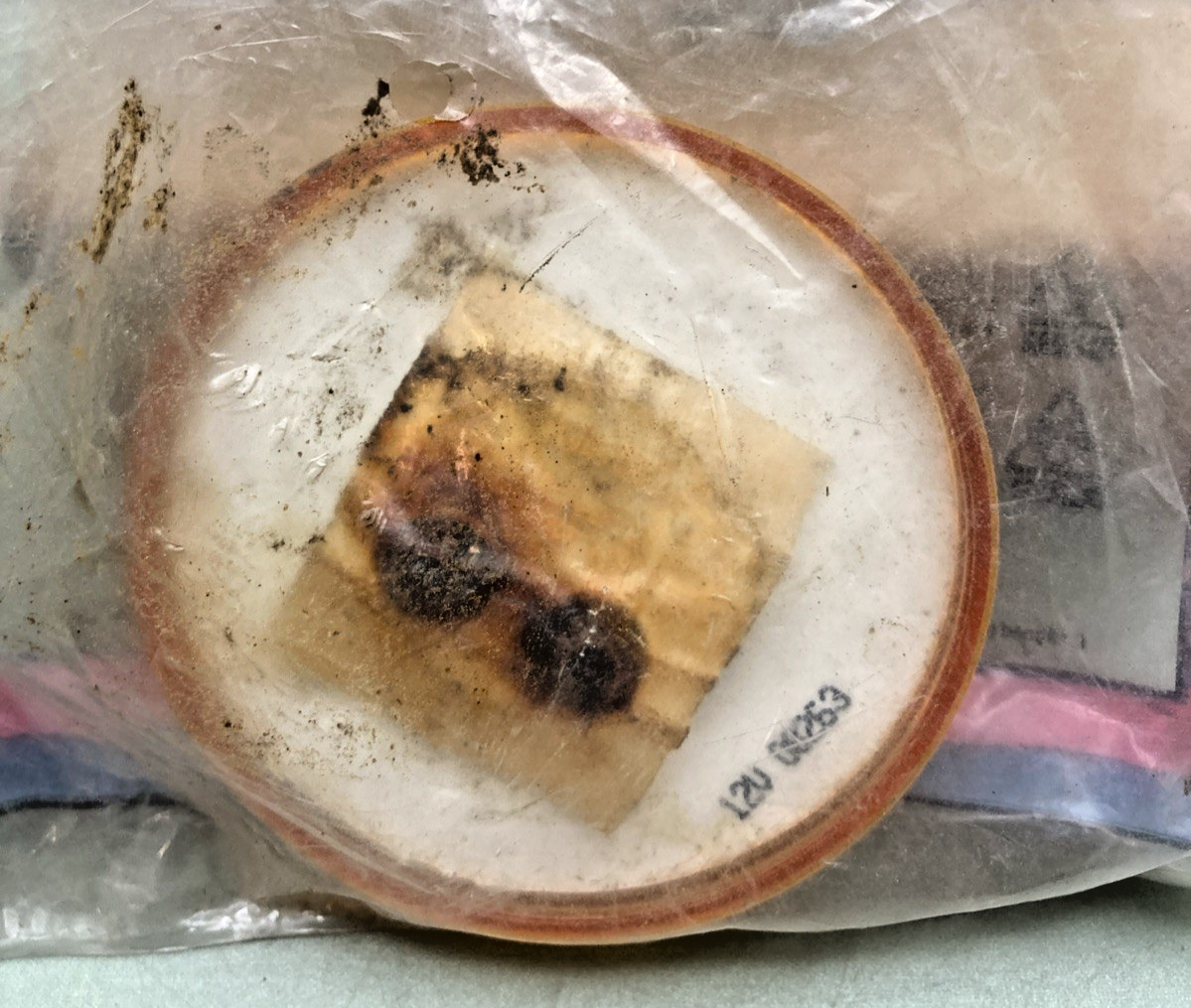 Qty 2 New Genuine Truck-Lite 10202Y 10 Series, Incandescent, Yellow Round Light