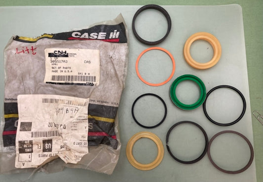CNH 305517A3 Set of Parts Seal Kit New Genuine