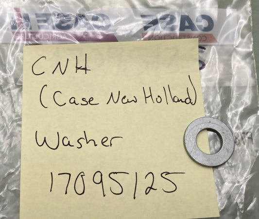 QTY 2 CNH 17095125 Washer New Genuine