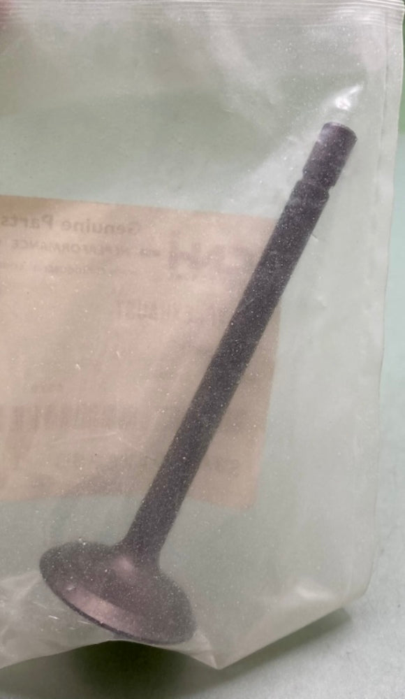 CNH Industrial SBA120176380 Exhaust Valve New Genuine