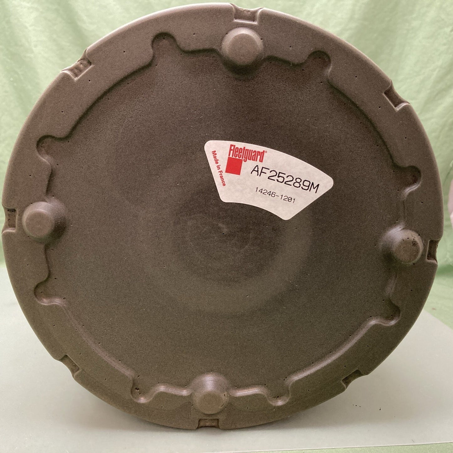 NEW GENNUINE FLEETGUARD AF25289M AIR FILTER